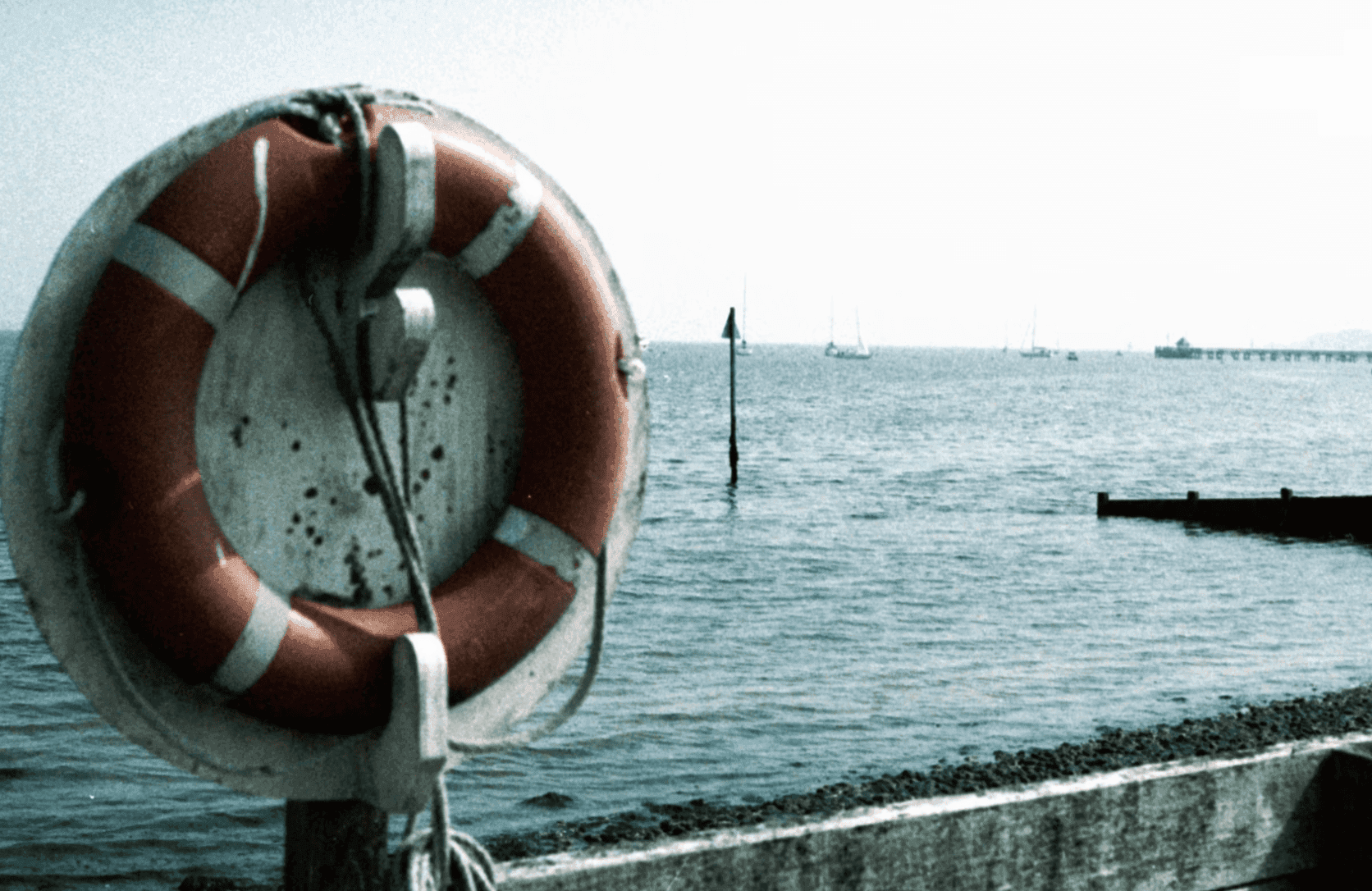 Old Life Buoy Mounted on Dock by the Sea